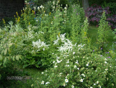 bachlauf-060708.jpg