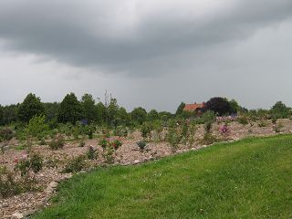 k-IMG_0734.jpg