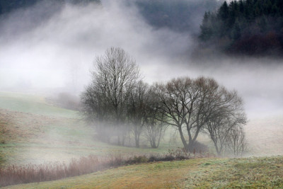 Morgennebel-Korrektur.jpg