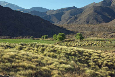 0175_Argentinien_2009_Bc.jpg