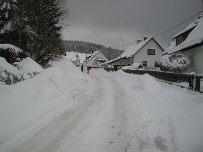 schneeschippen_1_30.01.10.jpg