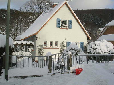 schnee_sonne_31.01.10.jpg