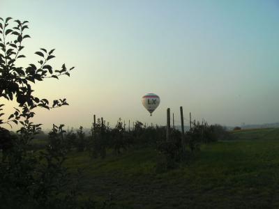 ObstanlagemitBallon.jpg