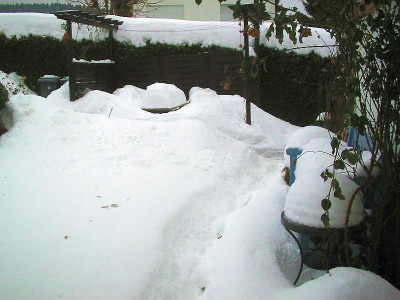 Schnee__vorne_20.12.10.jpg