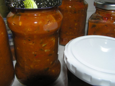 chutney260811.jpg