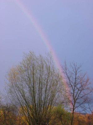 Regenbogen_F.jpg