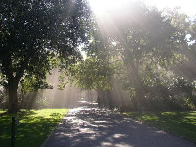 Lichtundschatten.jpg