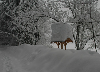 Inzell_2.jpg