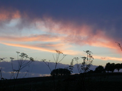 abendamneuengarten.jpg