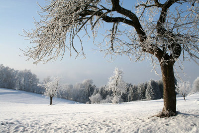 Dezember-Winterlandschaft.jpg