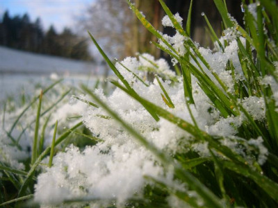 Schnee_04.11.2006.JPG