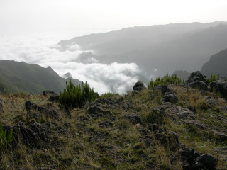 mad-Blick_vom_Berg.jpg