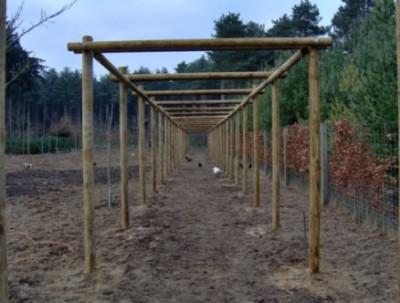 pergola_3_verkleind.JPG