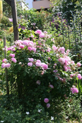 ispahan_garten06_572.jpg