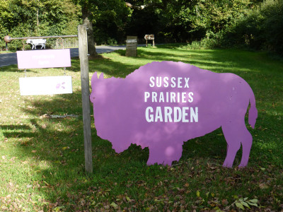 2017-10-05 Sussex Prairie Garden 1.jpg