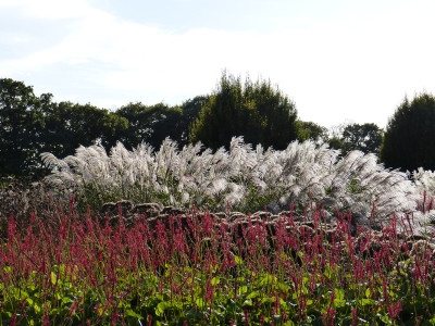 2017-10-05 Sussex Prairie Garden 6.jpg