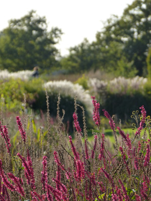 2017-10-05 Sussex Prairie Garden 13.jpg