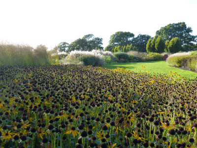 2017-10-05 Sussex Prairie Garden 15.jpg