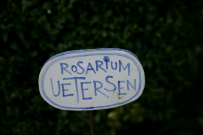 Rosenschild207.jpg