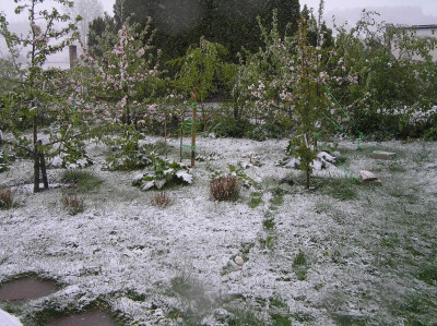 Schnee 4. Mai 2019 003.JPG