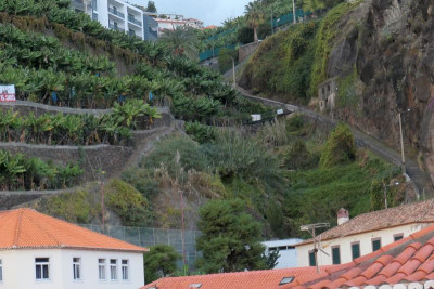 Ponta do Sol_1.jpg