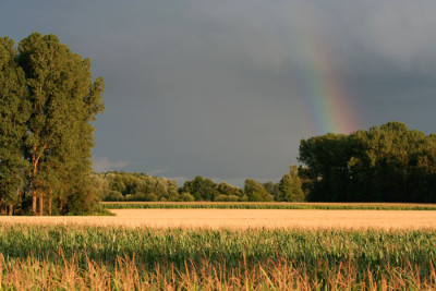 Rainbow-2.jpg