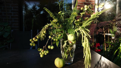 Grüner Strauß.JPG