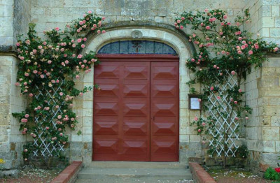 Rosa_Eden_Pierre_de_Ronsard_1_27-05-2007.jpg