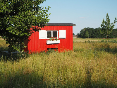 Obstwiese 12.6.23 ue.JPG