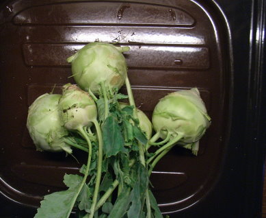 kohlrabi.JPG