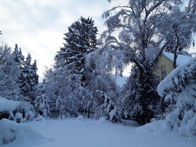 Schneeundkalt.jpg