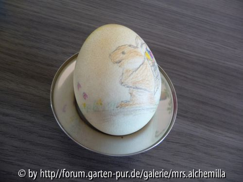 Osterhase