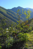 gartenausblick apr14