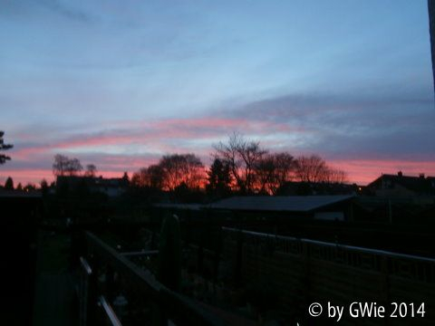 Sonnenuntergang über meinem Garten