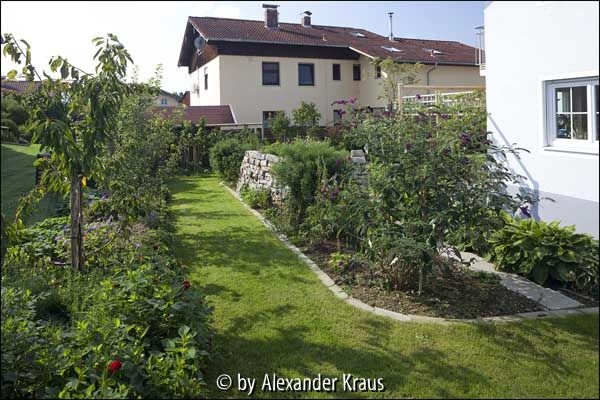 Mein Garten Ostseite