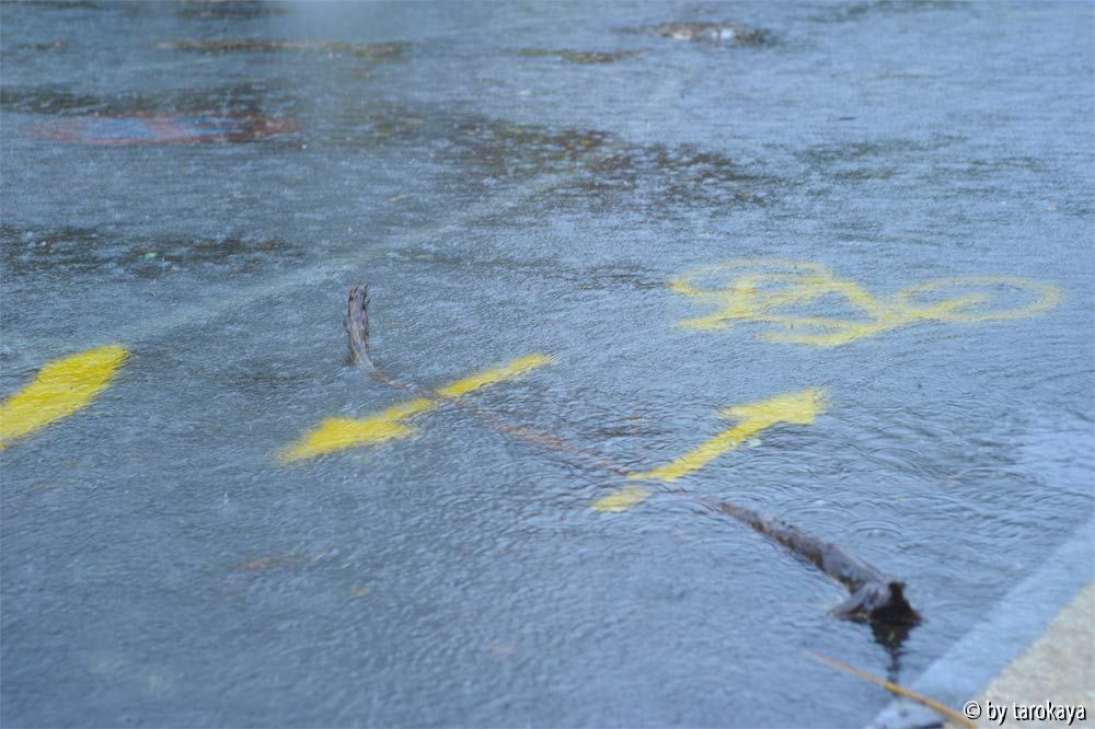 hochwasser locarno nov14