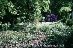 Blick auf den Beeren- und Gemüsegarten