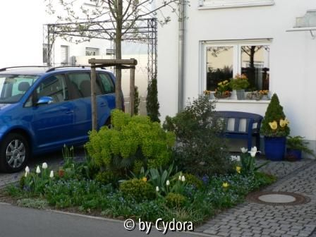 Vorgarten im Frühling