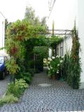 Pergola im August 2007