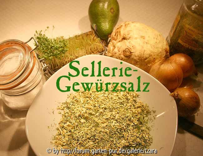 sellerie-gewürzsalz