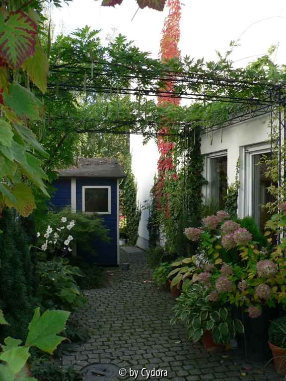 Pergola - Ende September 2008