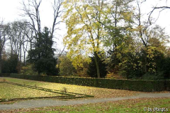 Kurfürstinnengarten II