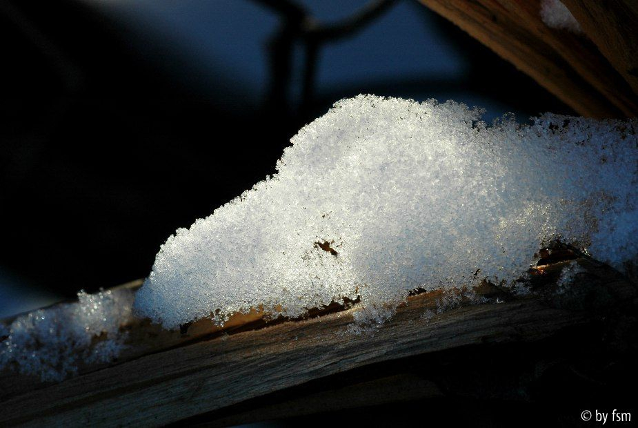 Schnee 1 10-01-2009