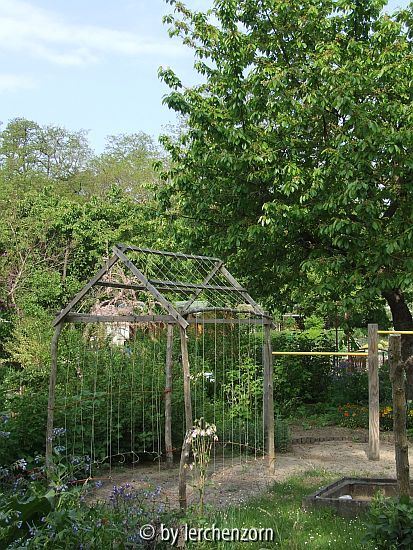 Bohnenhaus, früher Tomatenhaus