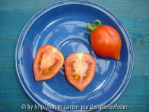 wintertomate.frucht.jpg