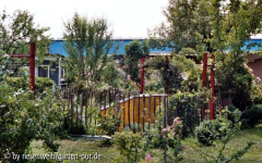 gemüsegarten, die blaue halle gehört zum nachbarn.