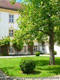 Tulpenbaum im Kloster Neustift