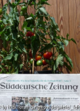 mit Zeitung