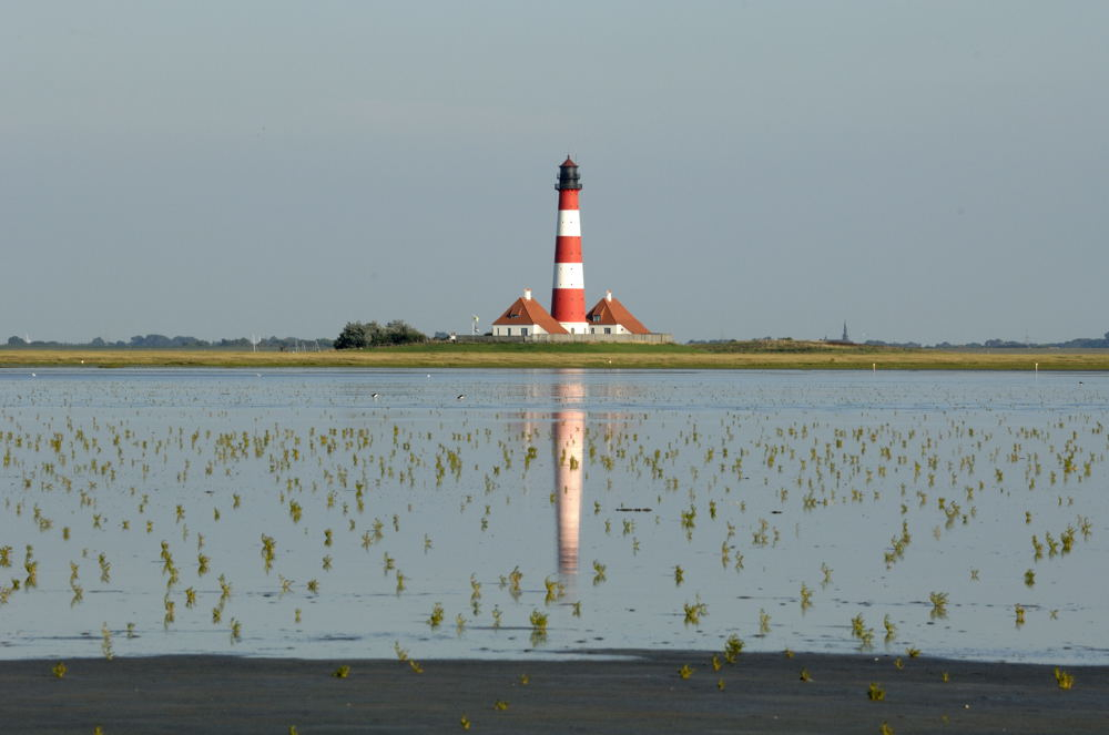 Westerhever Aug 9