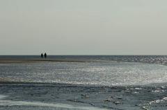 Westerhever Aug 6